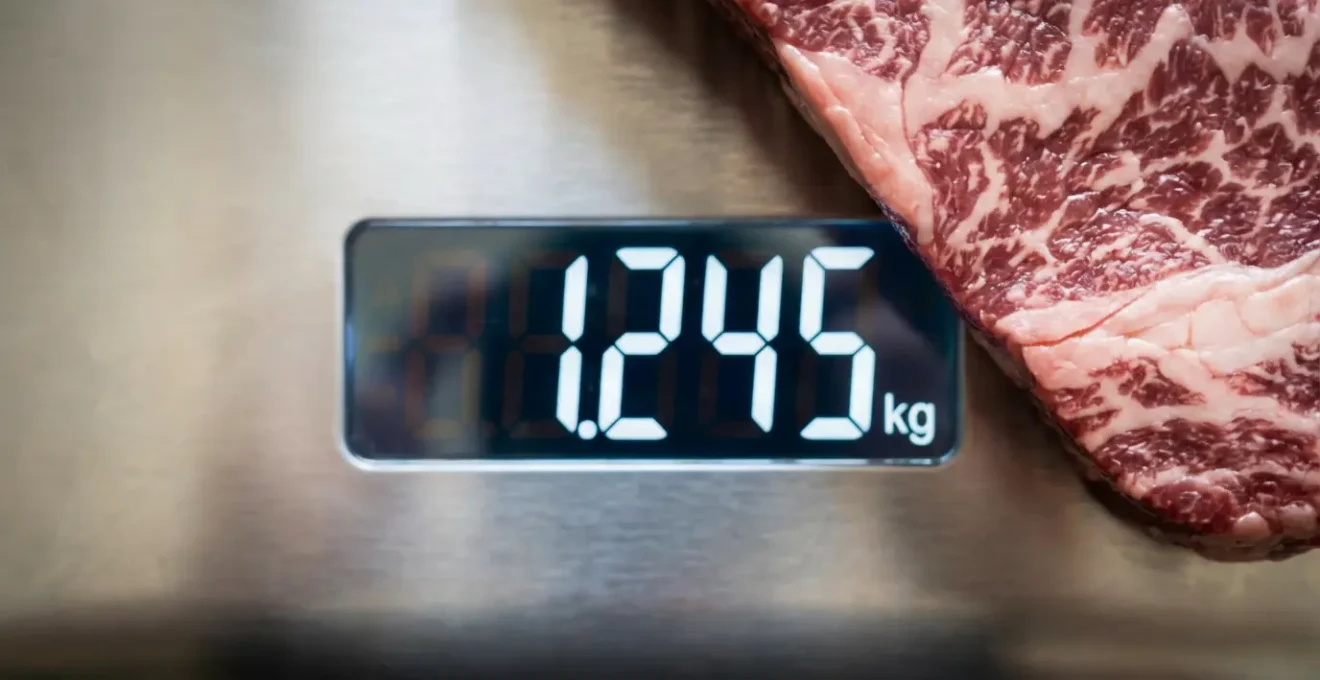 Gros plan sur une balance professionnelle affichant le poids d'une pièce d'aloyau avec un smartphone documentant la mesure